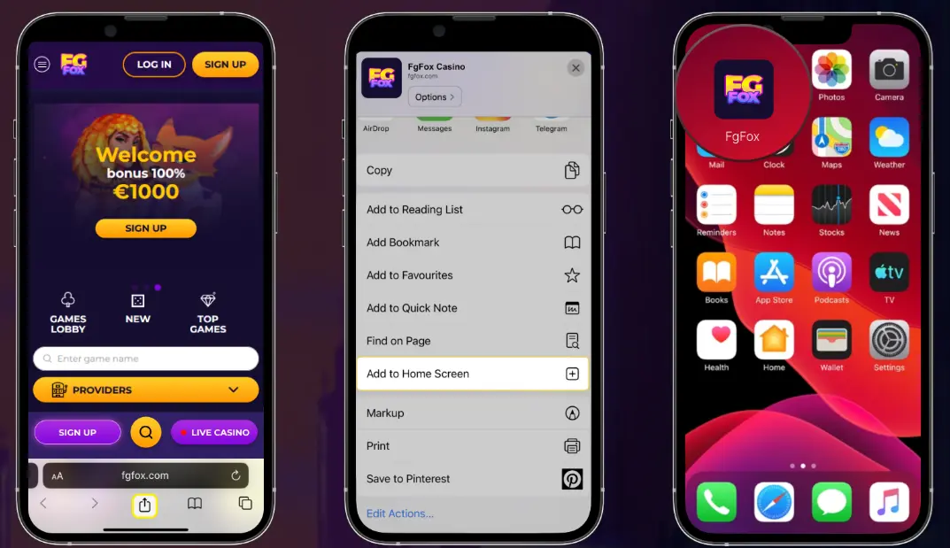 FGFox iOS app installation steps in Safari browser